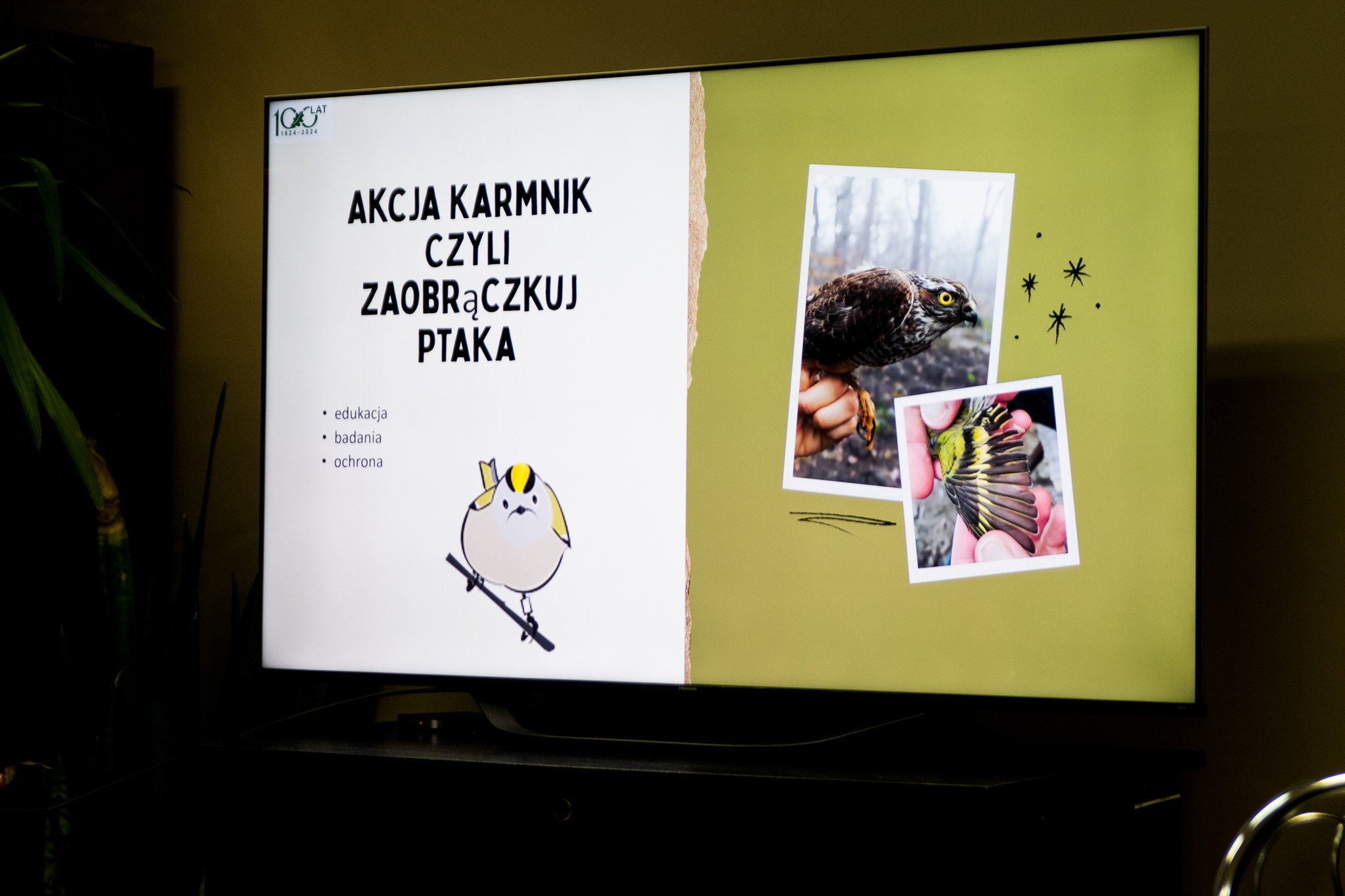 Zawitał do nas ornitolog…