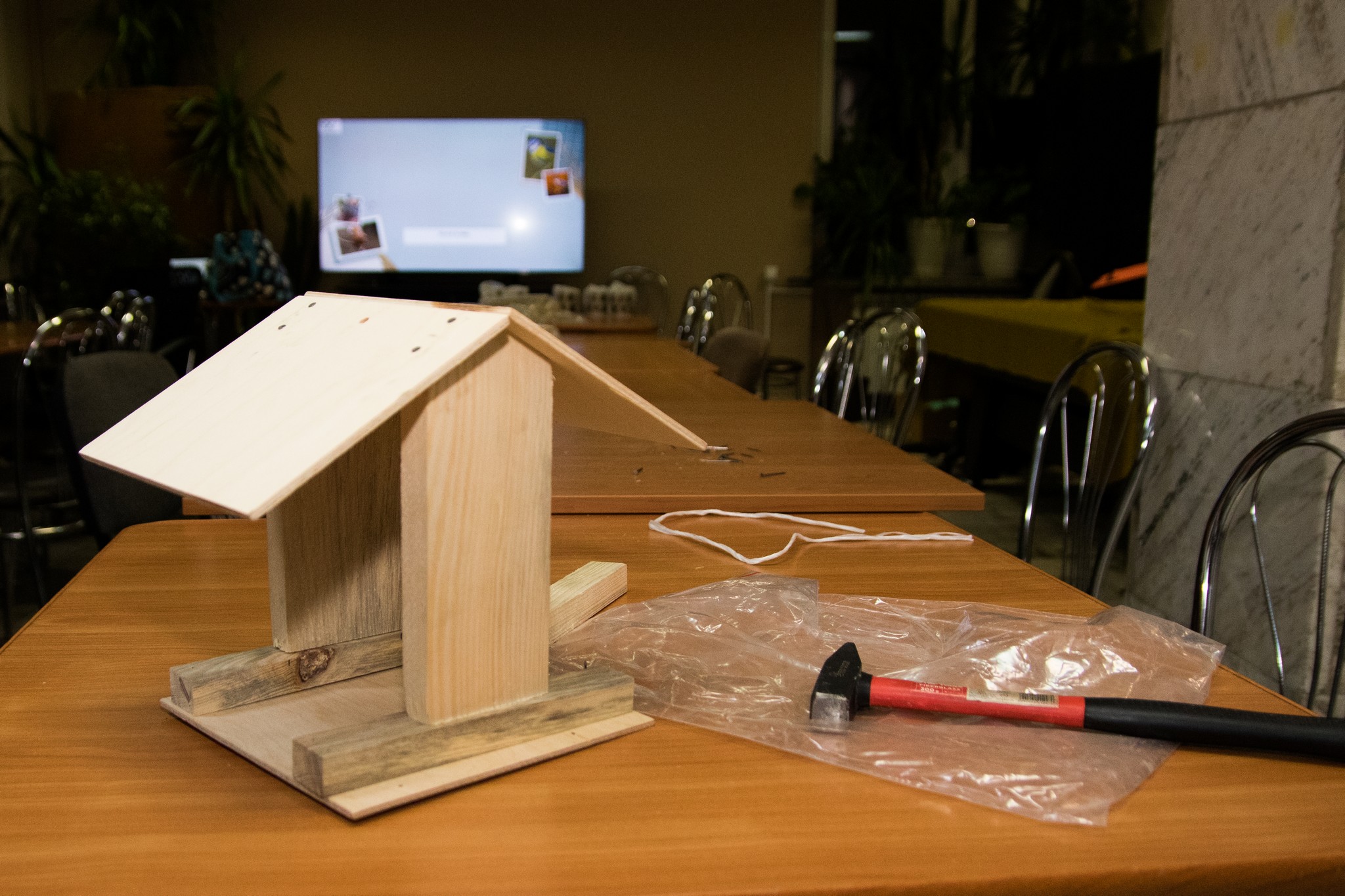 Zawitał do nas ornitolog…