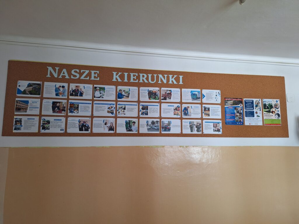 Targi Edukacji i Pracy