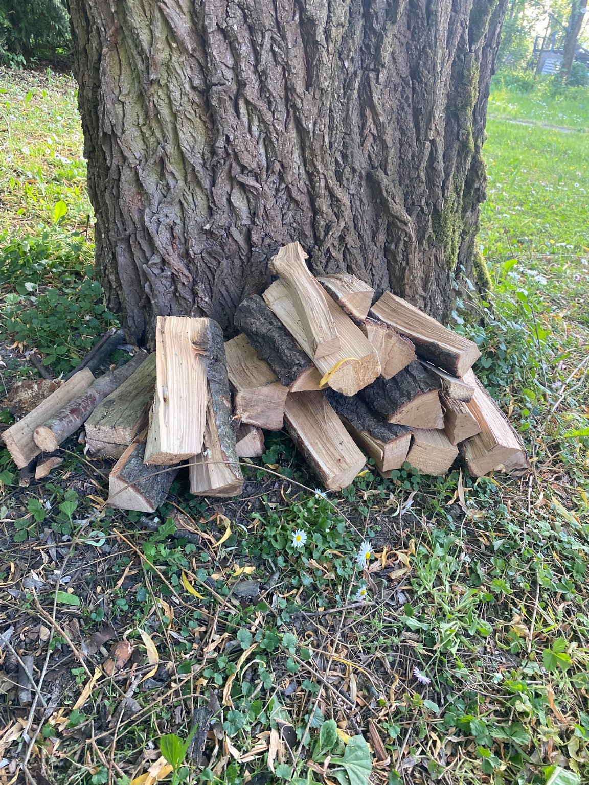 Wiosenne grillowanie w Bursie