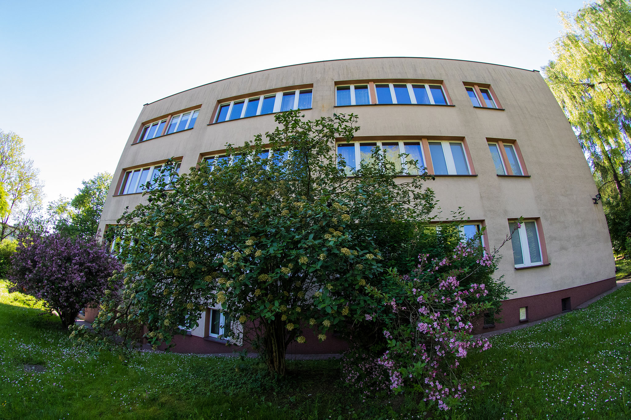 Kwiatowy raj miechowskiej bursy