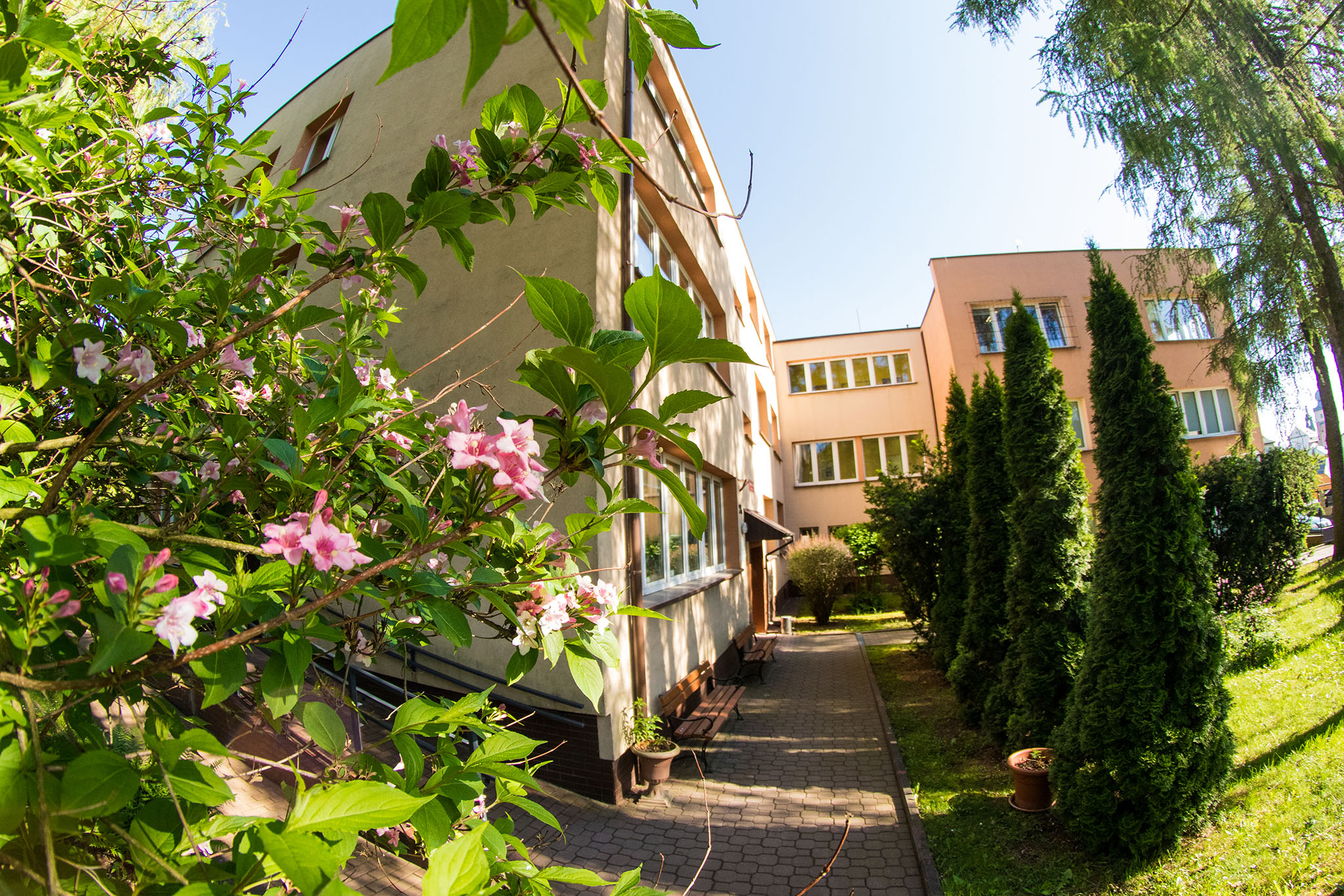 Kwiatowy raj miechowskiej bursy