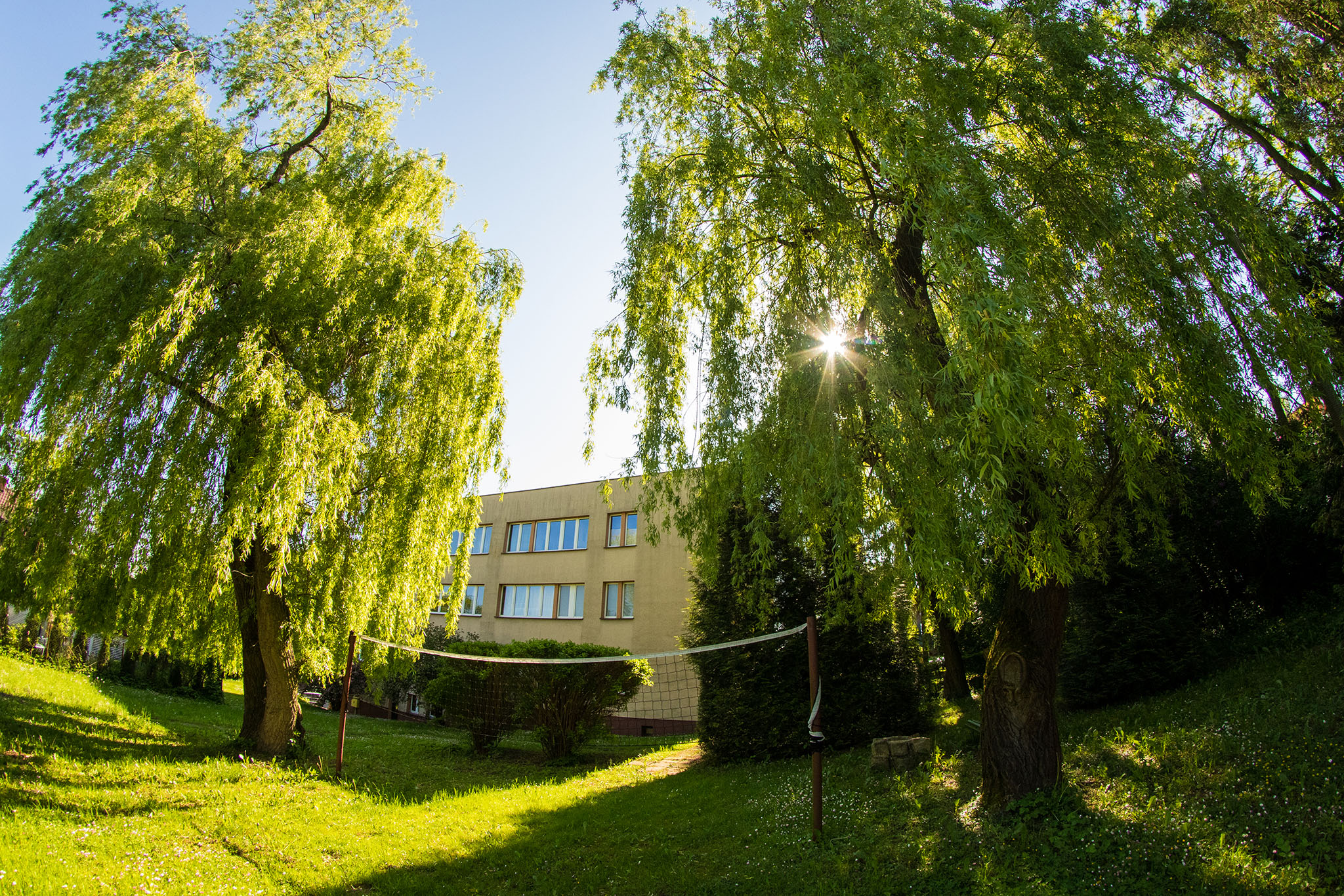 Kwiatowy raj miechowskiej bursy