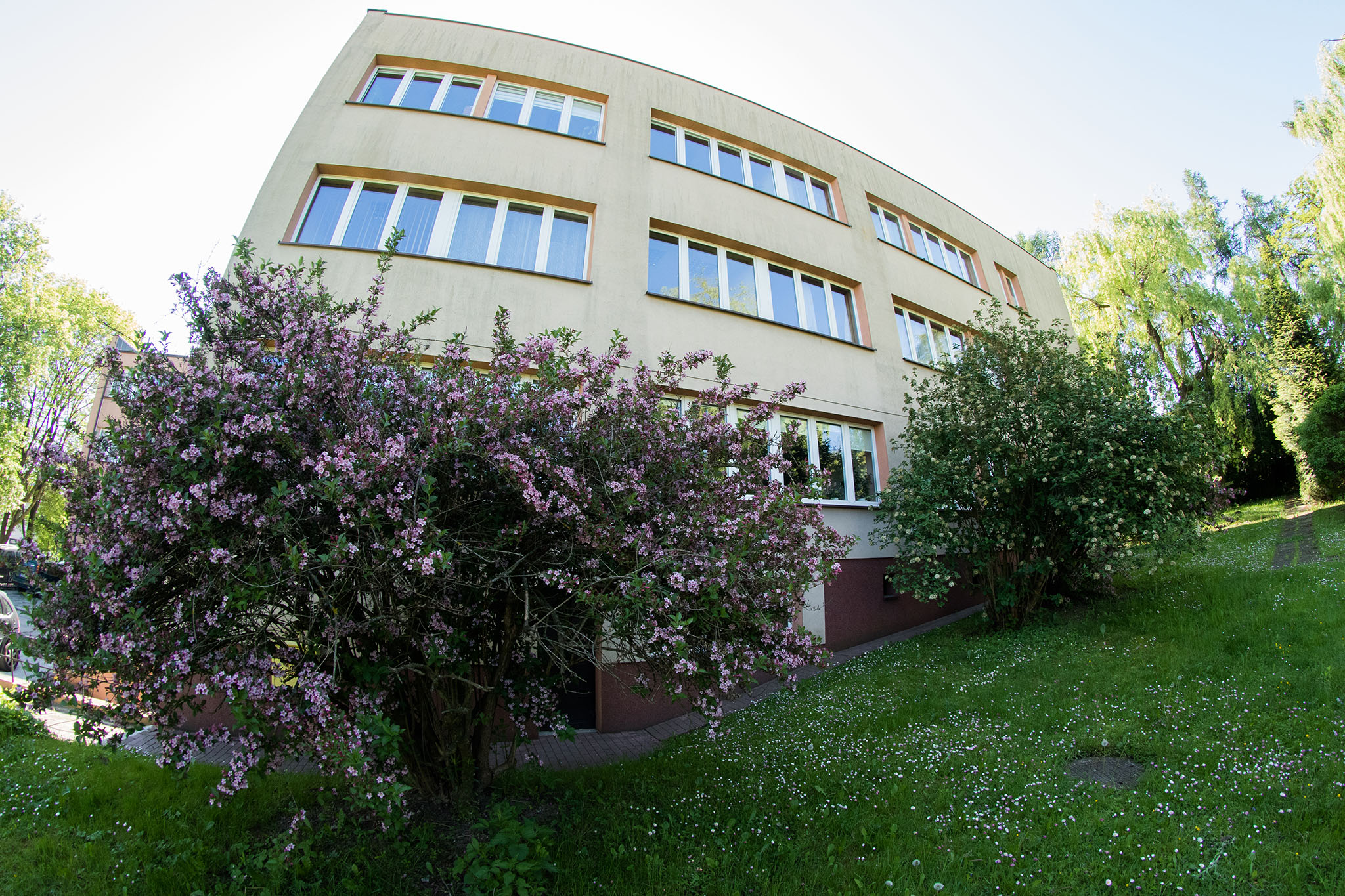 Kwiatowy raj miechowskiej bursy