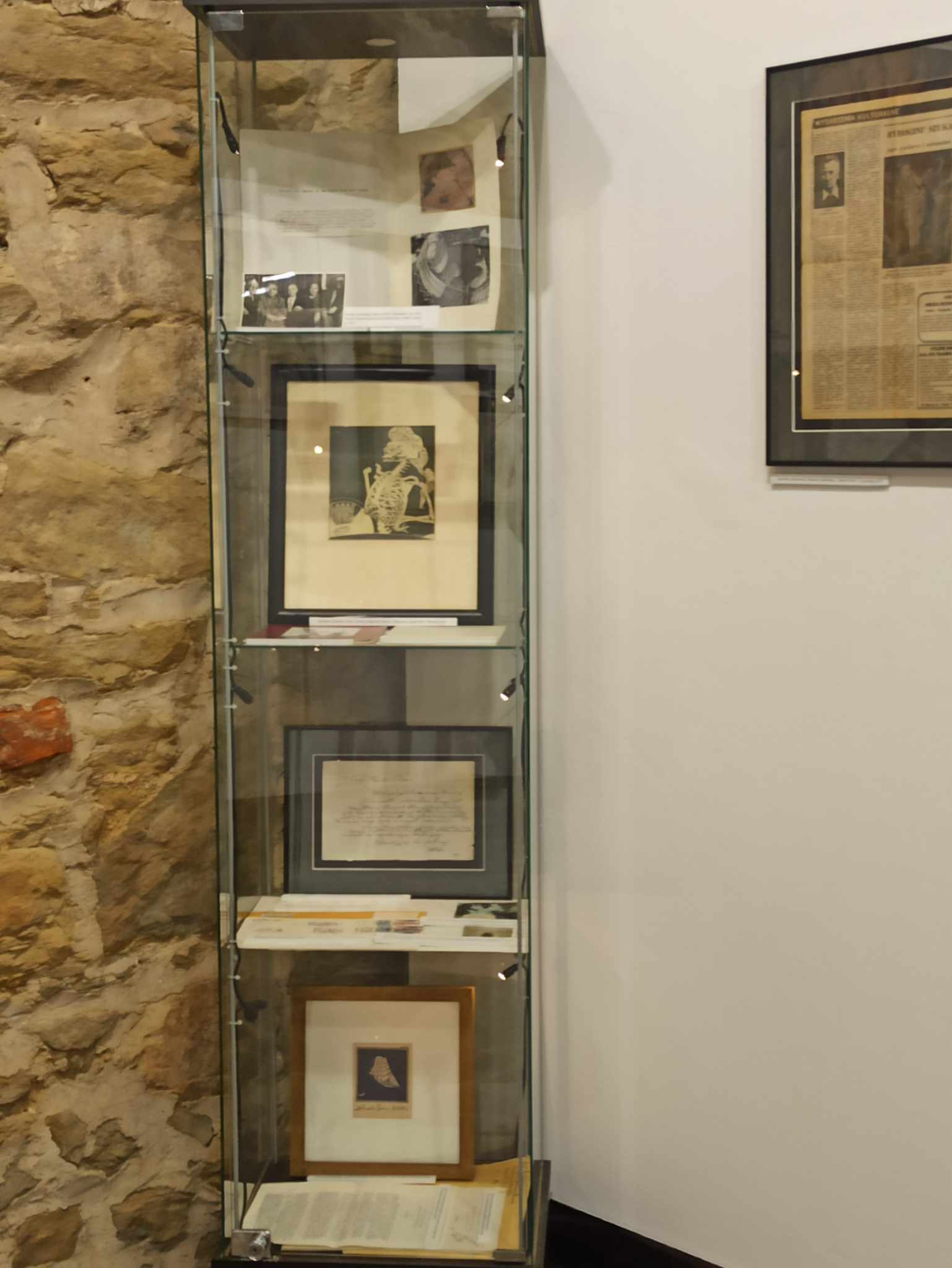 Zachwyt Tatuażem: Niezapomniana Wizyta w Galerii BWA „u Jaksy” w Miechowie