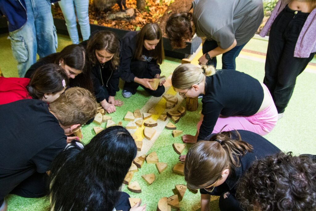 „Las w pigułce” - Świętujemy Dzień Dziecka