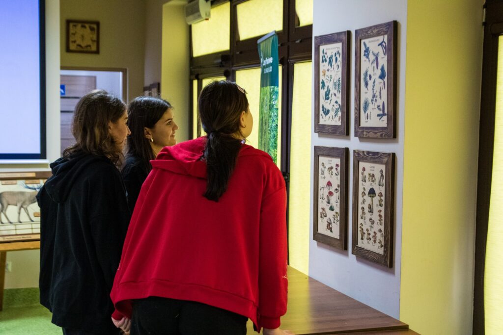 „Las w pigułce” - Świętujemy Dzień Dziecka