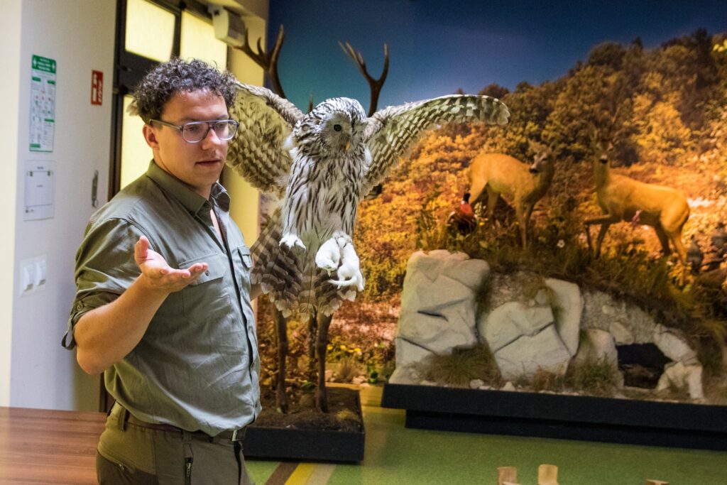 „Las w pigułce” - Świętujemy Dzień Dziecka