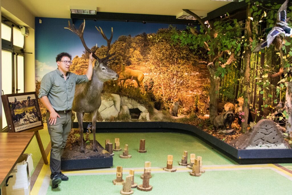 „Las w pigułce” - Świętujemy Dzień Dziecka