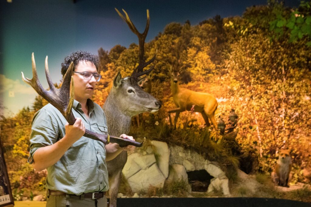 „Las w pigułce” - Świętujemy Dzień Dziecka