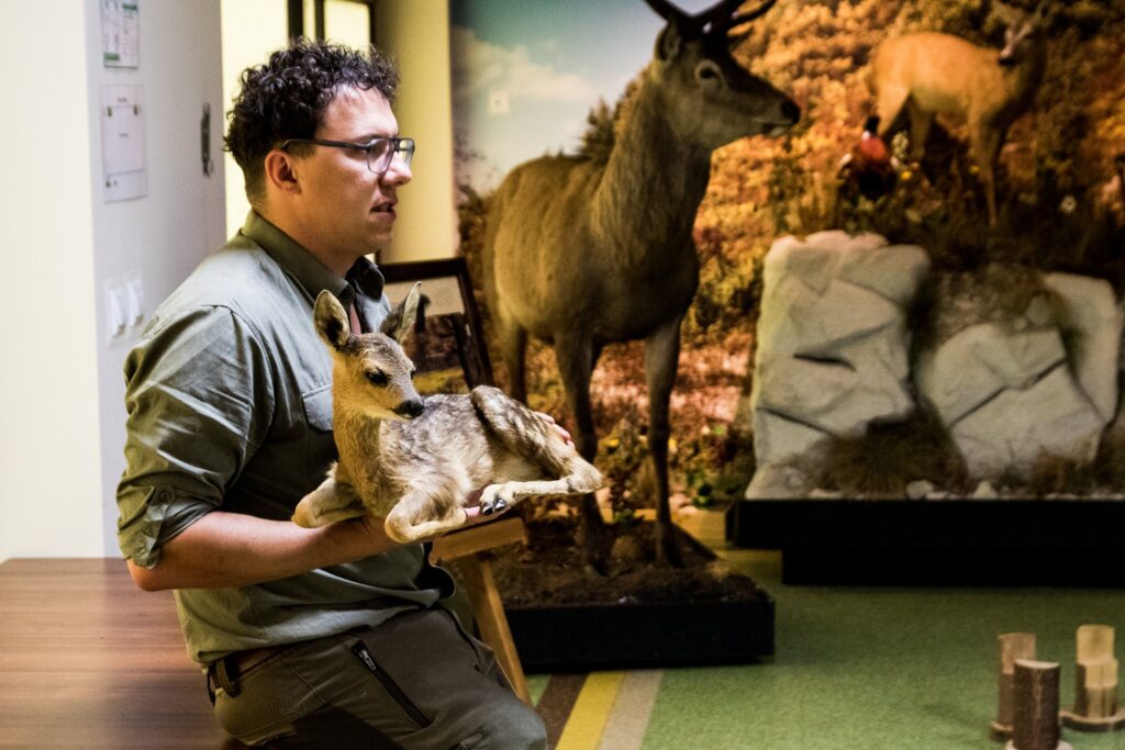 „Las w pigułce” - Świętujemy Dzień Dziecka