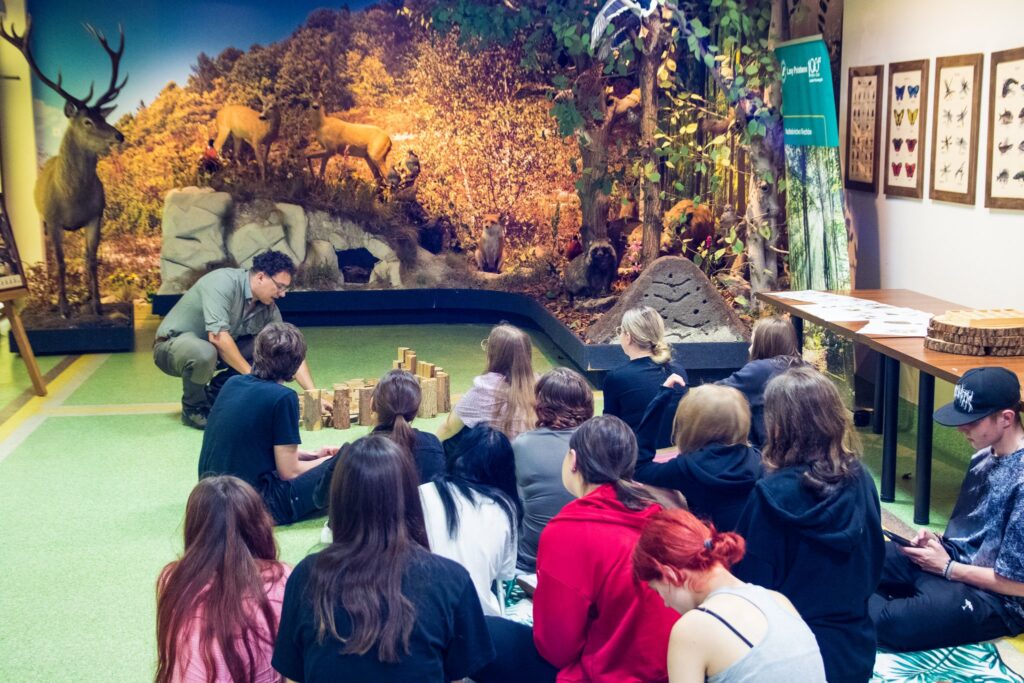 „Las w pigułce” - Świętujemy Dzień Dziecka