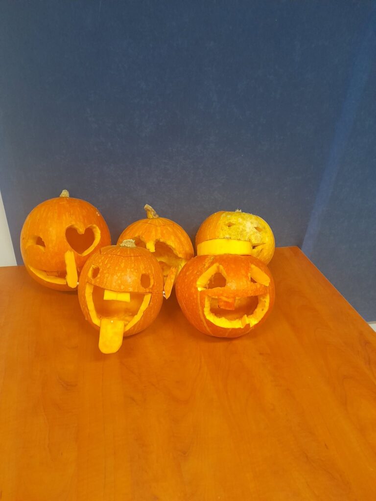 Wychowankowie Bursy Szkolnej w Miechowie podczas warsztatów artystyczno-integracyjnych z okazji Halloween. Zdjęcia przedstawiają zbieranie dyń w gospodarstwie rolnym, tworzenie halloweenowych lampionów, malowanie ozdób gipsowych oraz wspólną pracę i integrację młodzieży podczas zajęć.