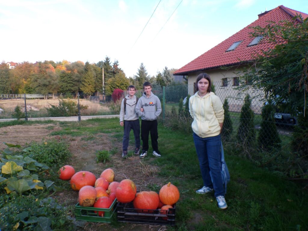 Wychowankowie Bursy Szkolnej w Miechowie podczas warsztatów artystyczno-integracyjnych z okazji Halloween. Zdjęcia przedstawiają zbieranie dyń w gospodarstwie rolnym, tworzenie halloweenowych lampionów, malowanie ozdób gipsowych oraz wspólną pracę i integrację młodzieży podczas zajęć.